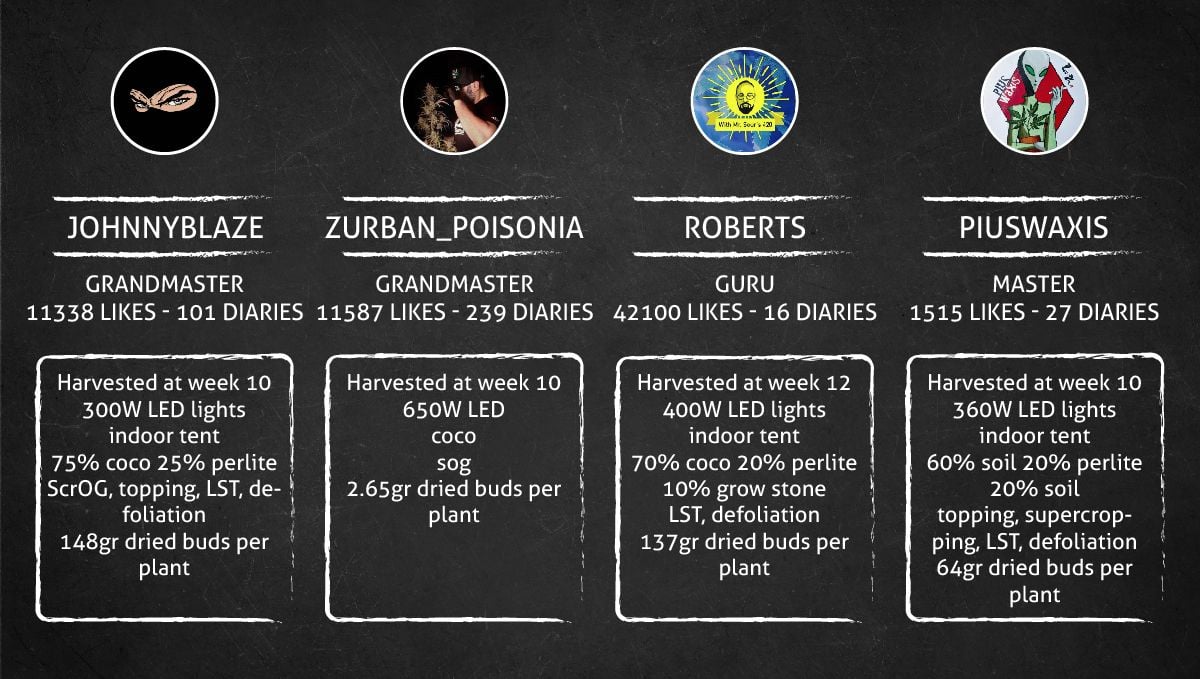 Tropicana Cookies Auto cannabis strain: outcome
