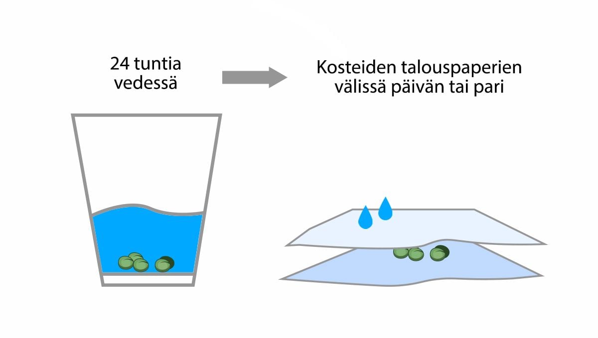 9 virhettä joita välttää: idättäminen