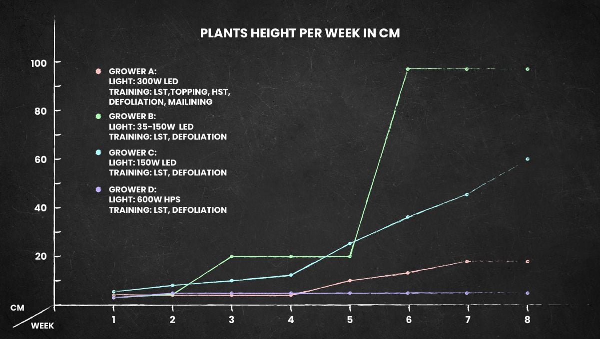 Forbidden Runtz Auto Cannabis Strain Week-by-Week Guide: Height progress, weeks 1-9