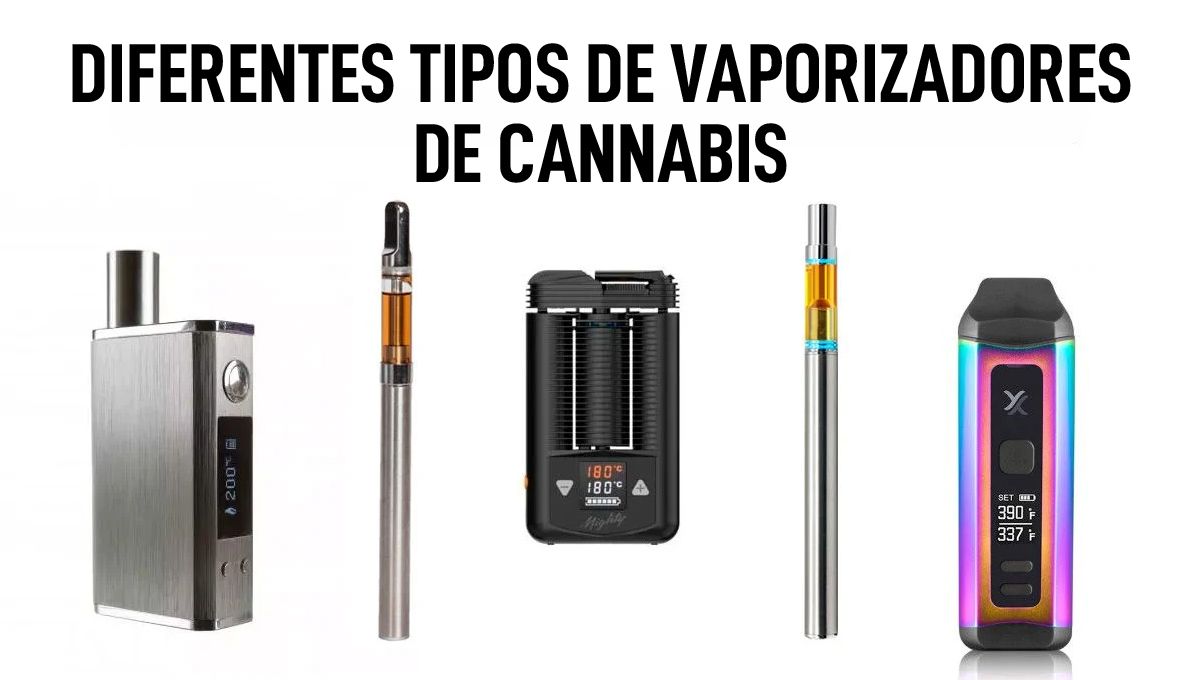 Vendas de comestíveis e vaporizadores de maconha começam