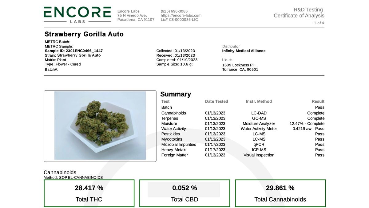 Fast Buds voittaa AAC 2023 -kilpailun! Fast Buds voittaa AAC 2023 -kilpailun!