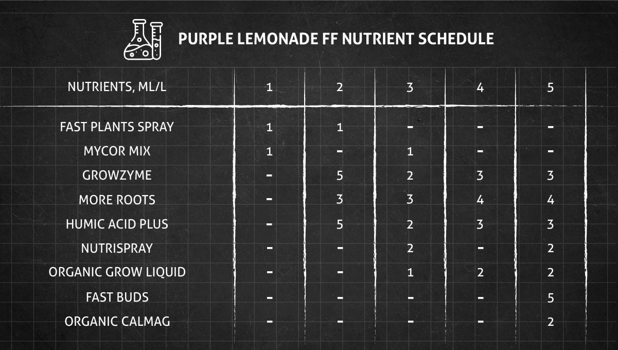 Purple Lemonade FF cannabis strain: veg nutrient schedule