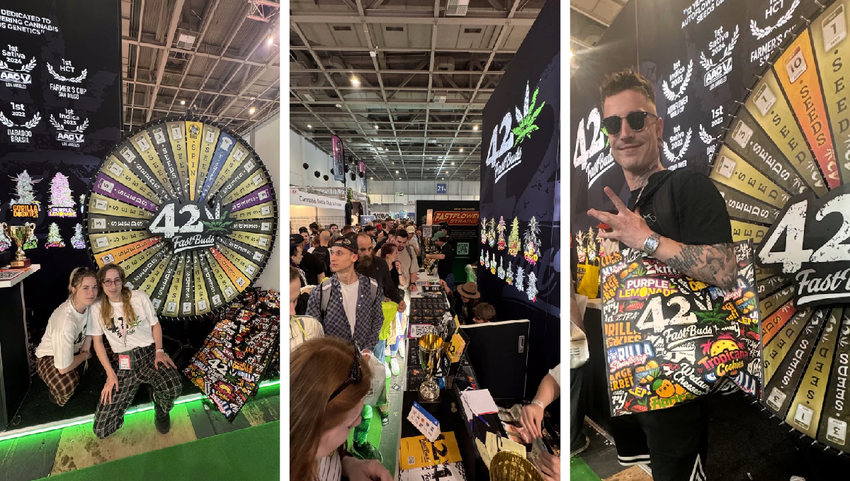 Mary Jane 2024: Die erste legale Cannabis-Expo in Europa Mary Jane 2024: Die erste legale Cannabis-Expo in Europa