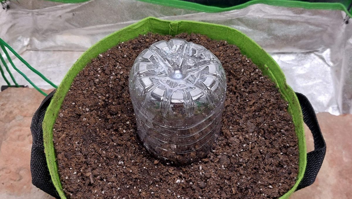 Gorilla Punch Auto cannabis strain: germination and seedling stage | week 1 | a grow bag filled with a soil mix and the bottom part of a plastic bottle covering the sprout