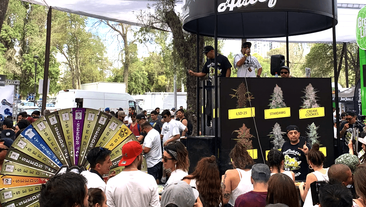 Fast Buds team in Latin America Fast Buds team in Latin America