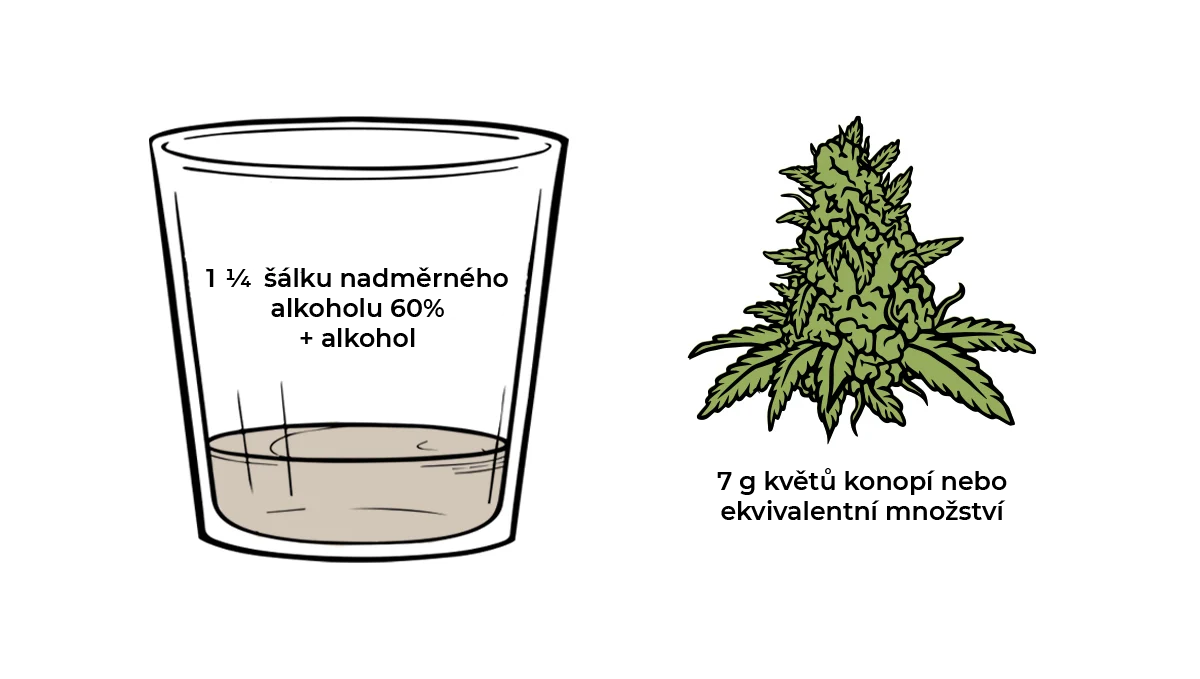 Jak vyrobit konopné pochutiny: Jak na tinktury