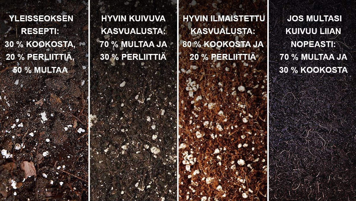 9 virhettä joita välttää: paras kasvualusta