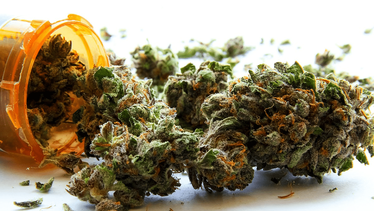 Weed in lebanon: medicinal cannabis