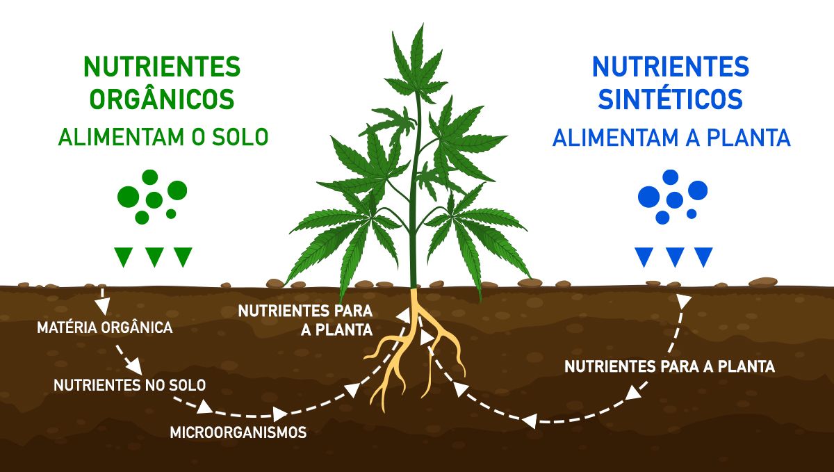 Quanto é que as automáticas rendem: nutrientes