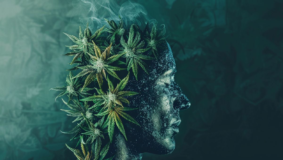 Virtual Reality Highs: The Interplay Between Cannabis Use and VR Experiences