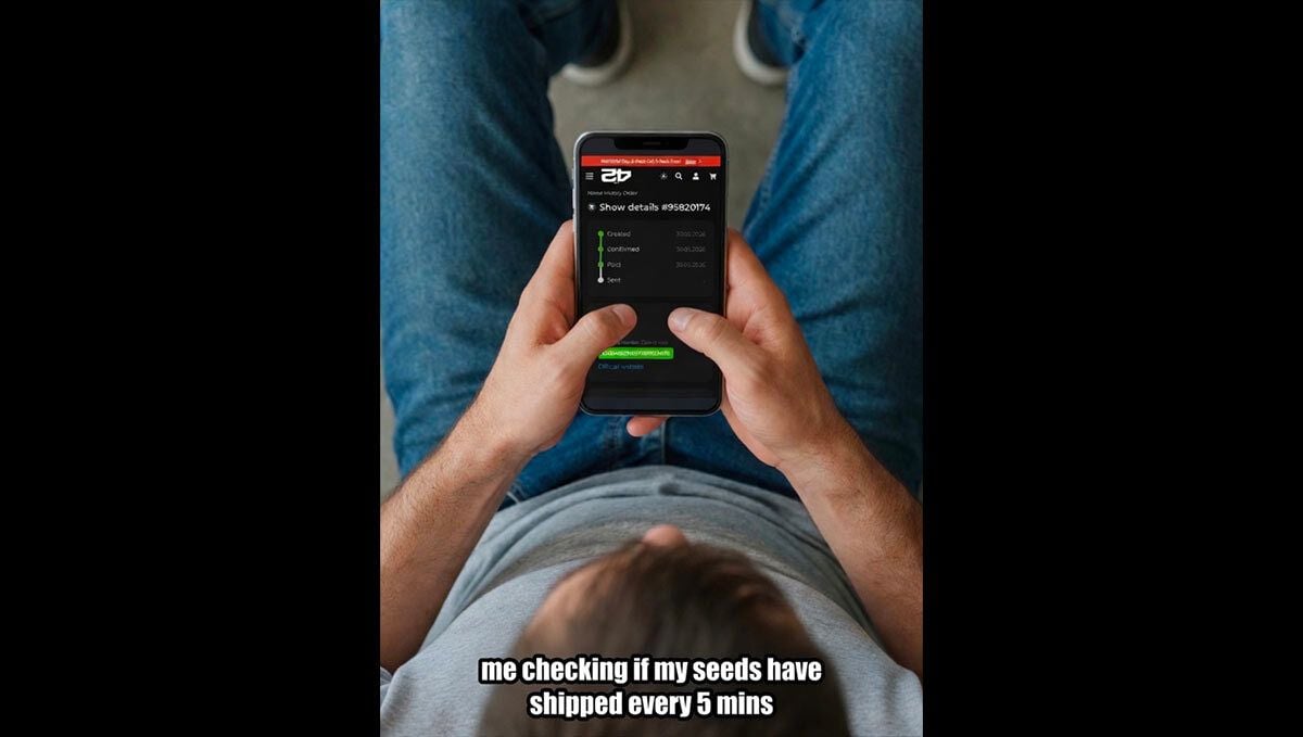Discord Meme Fast Buds Participant