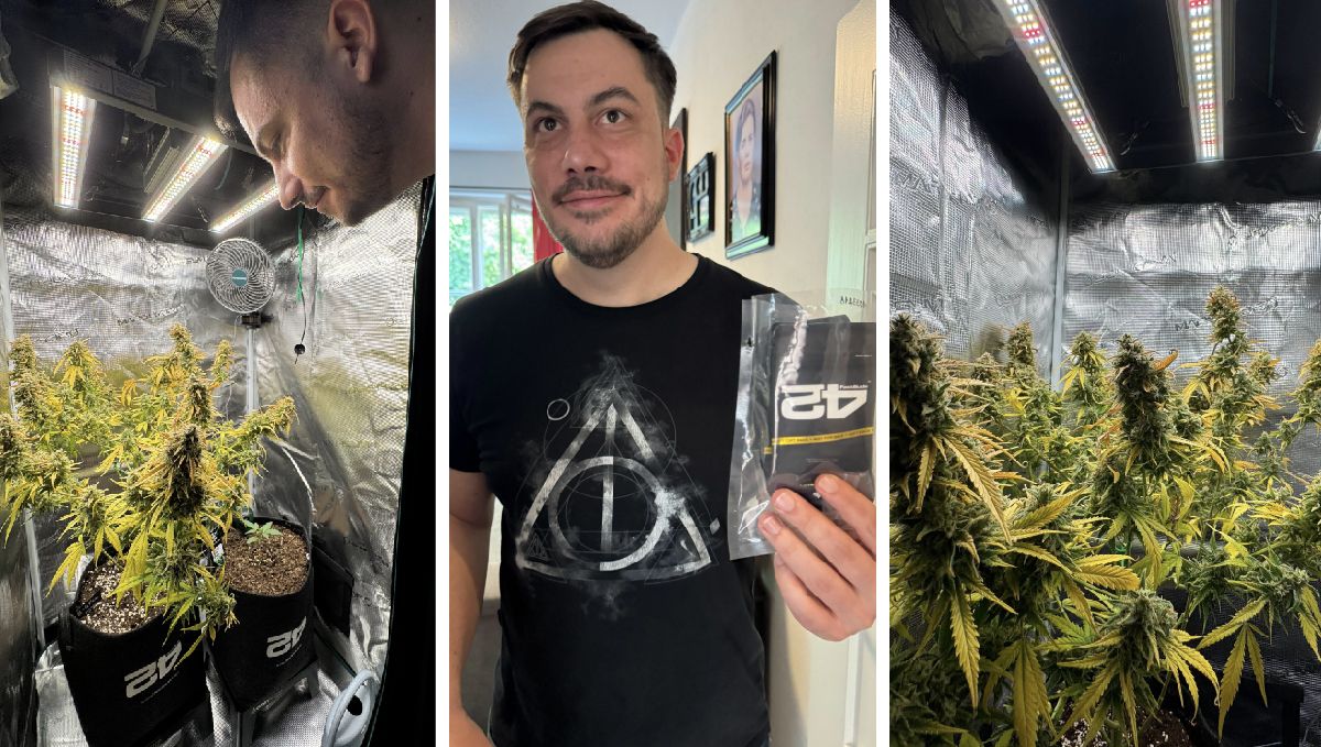 Wizyty domowe Fast Buds w Niemczech