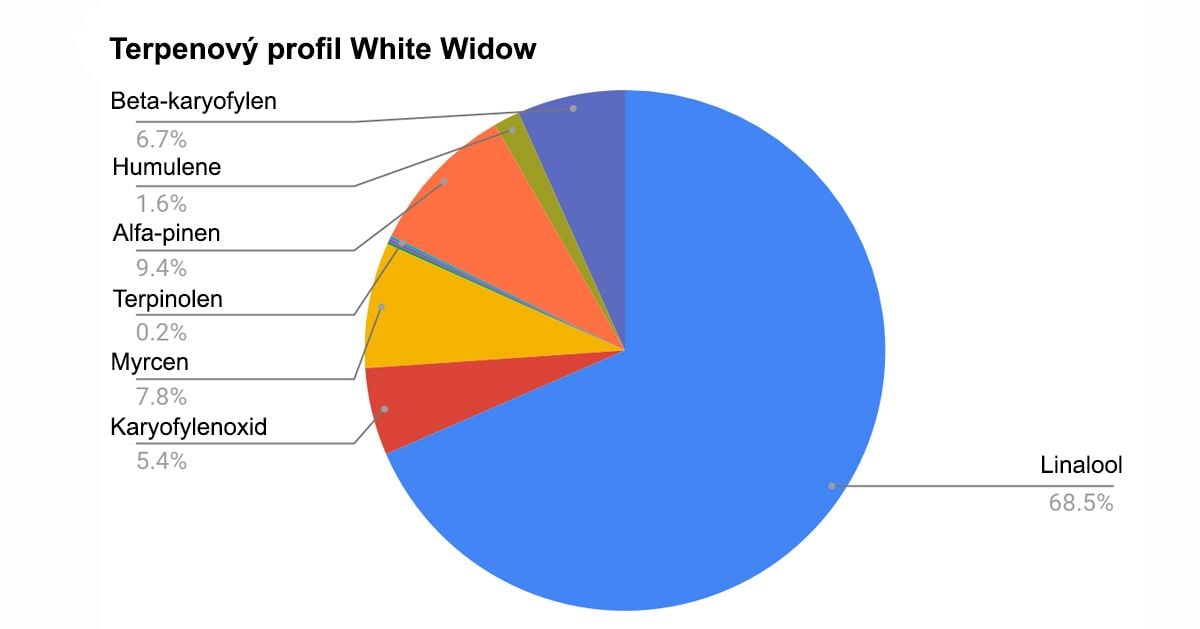 White Widow Auto průvodce: terpenový profil White Widow Auto průvodce: terpenový profil