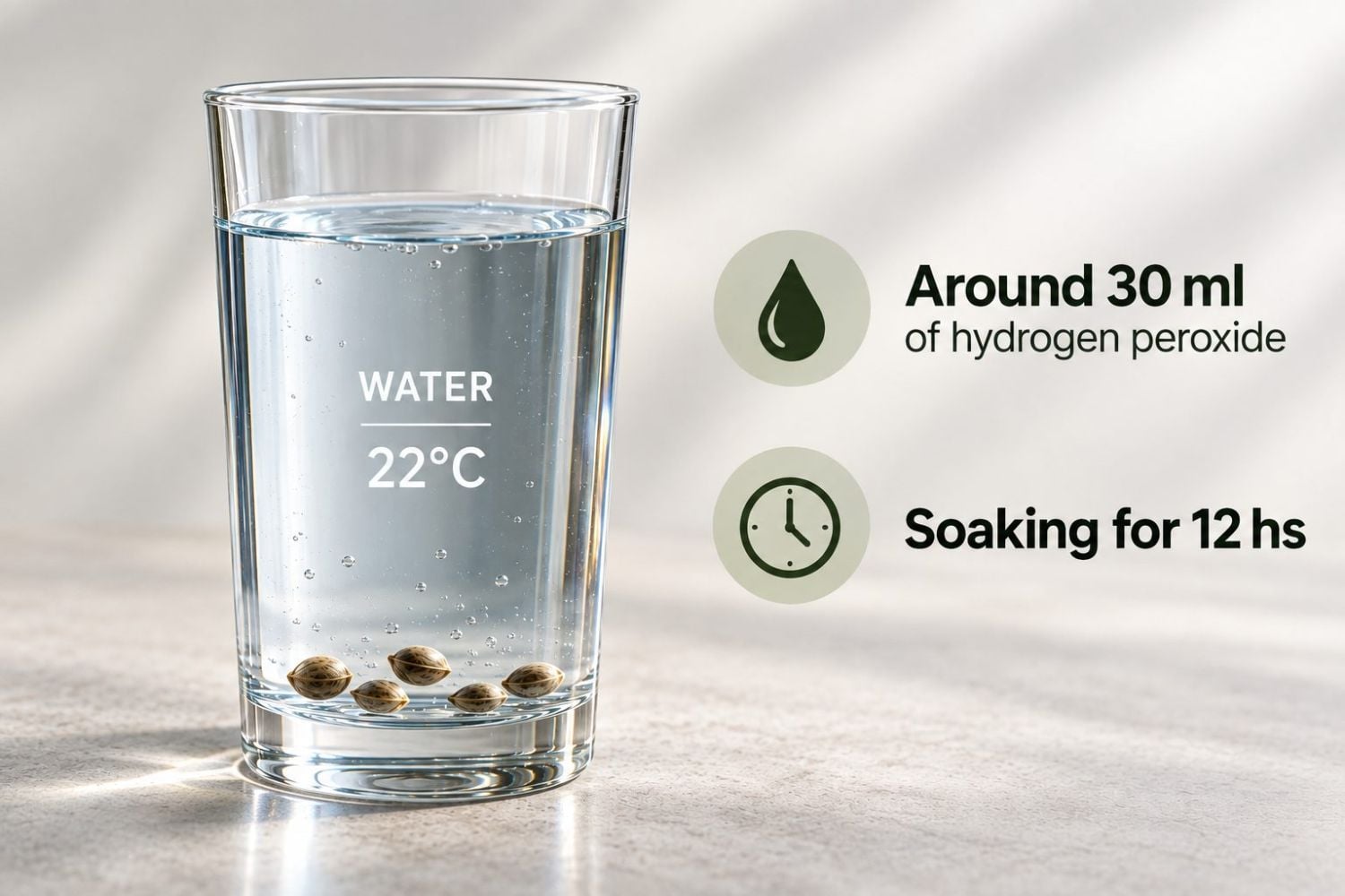 Guida alla germinazione: acqua integrata