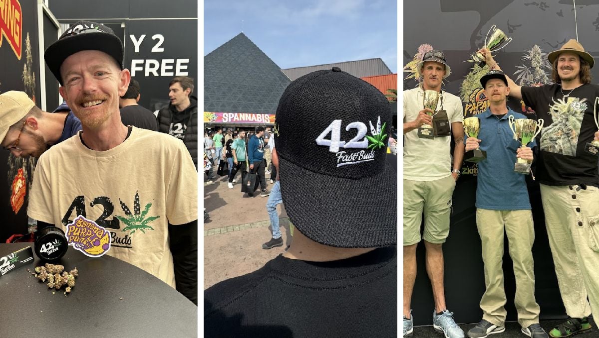 Eindrücke von der Spannabis 2024