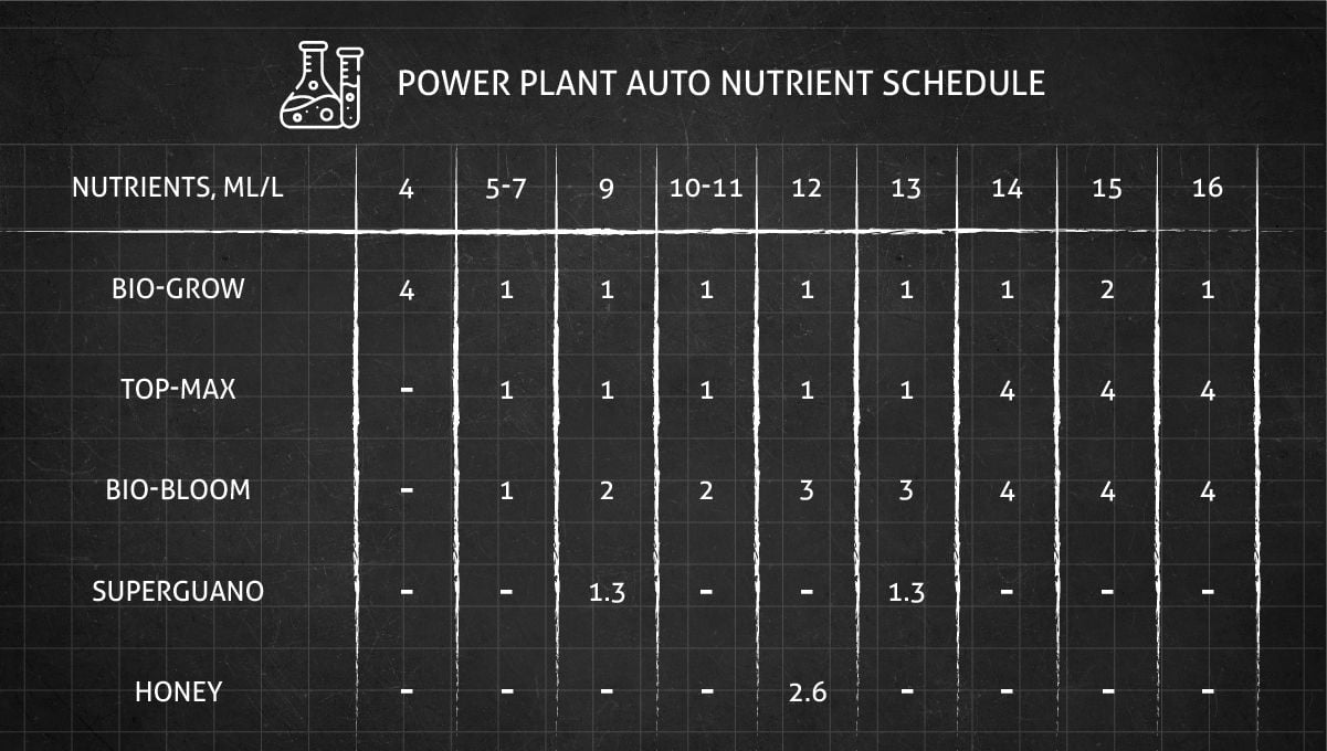 Power Plant cannabis strain: feeding chart for the vegetative and flowering stages