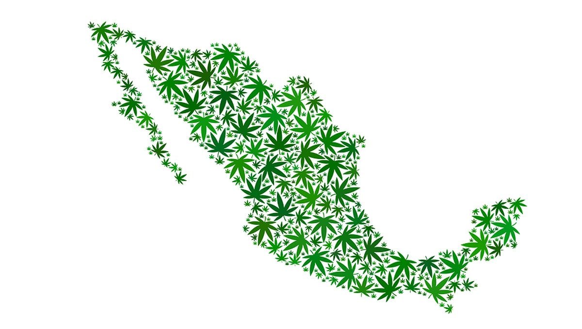Mexican supreme court calls off recreational cannabis prohibition