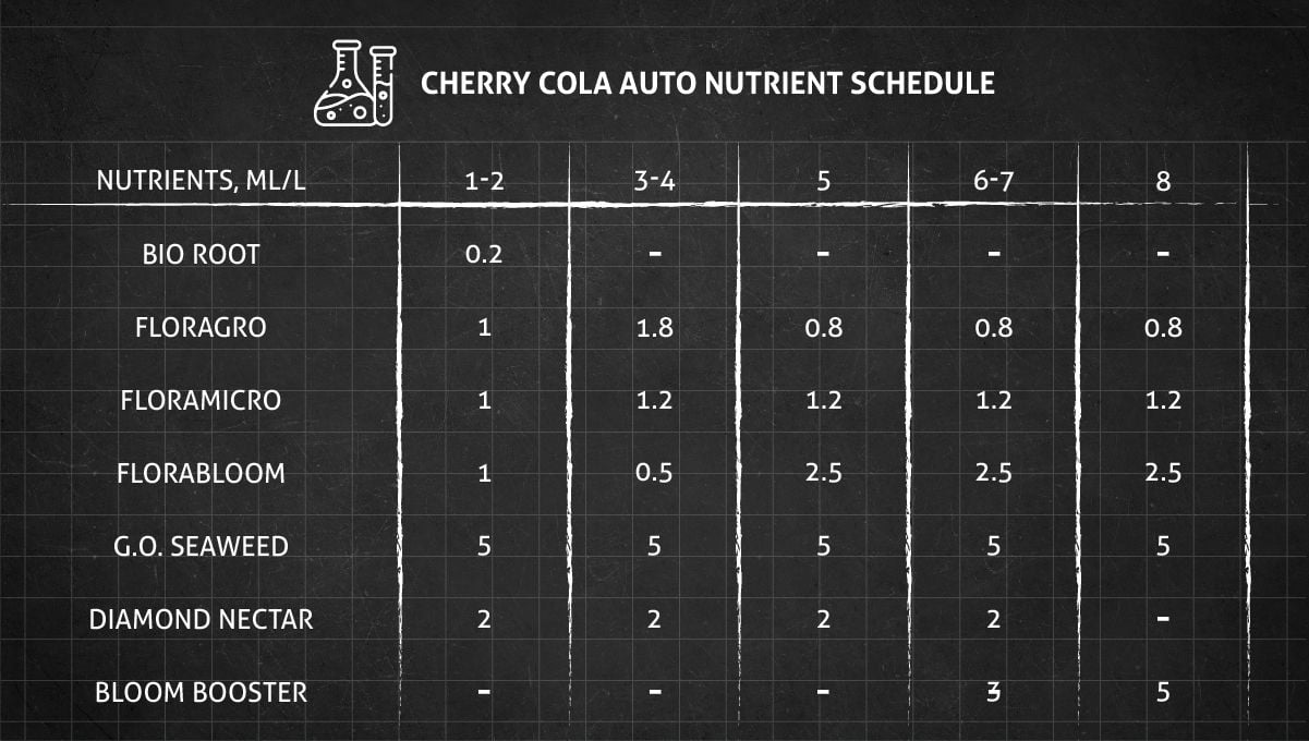 Cherry Cola Auto nutrient schedule for the vegetative and flowering phase