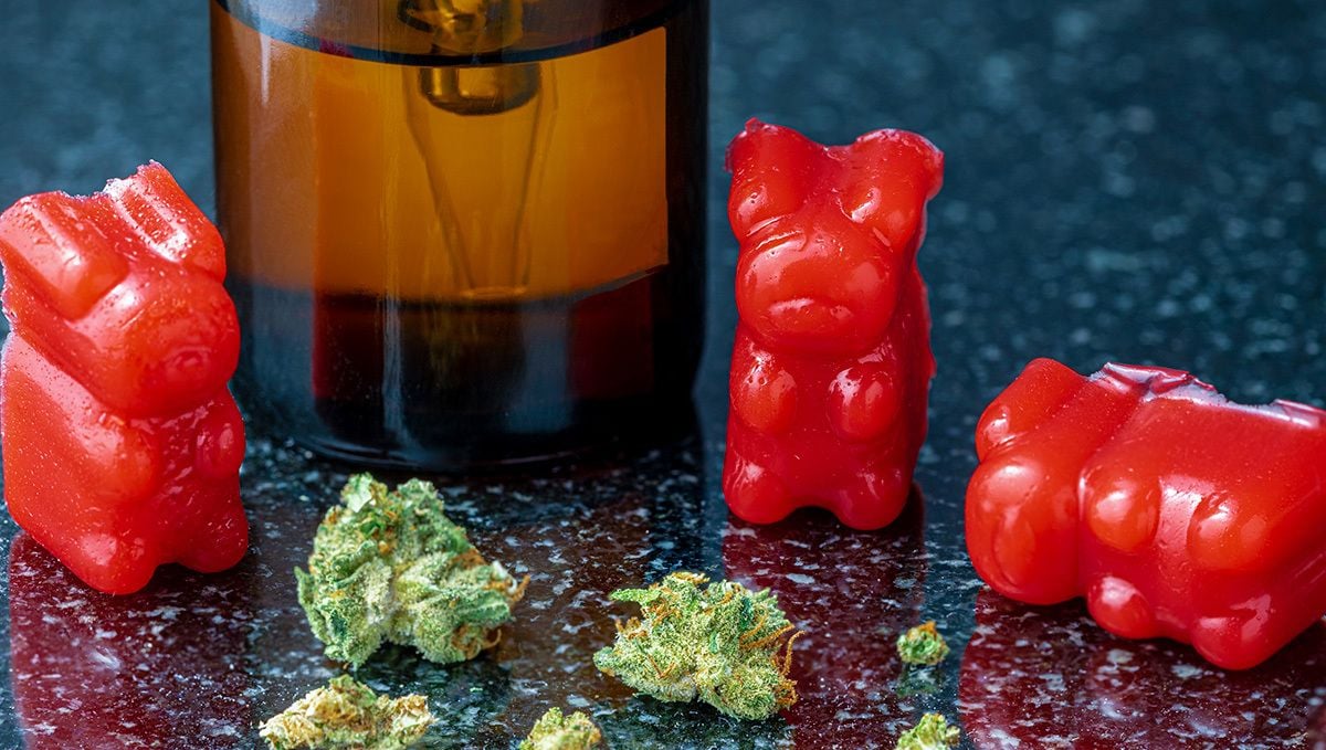 How to Make Cannabis Gummies (Weed Gummy Bears)