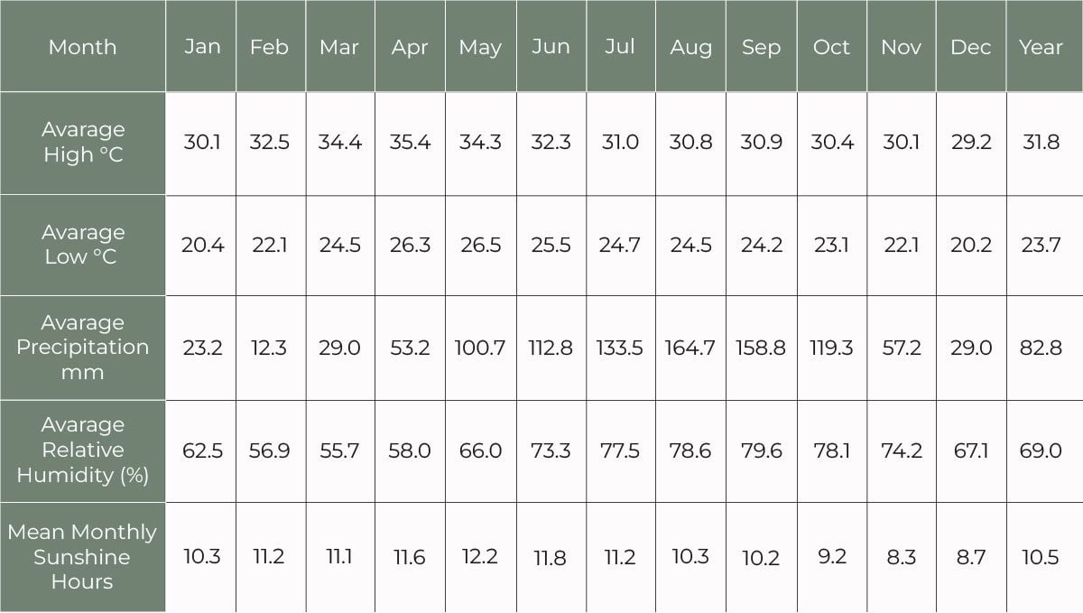 Features of growing cannabis in Thailand: Average weather conditions