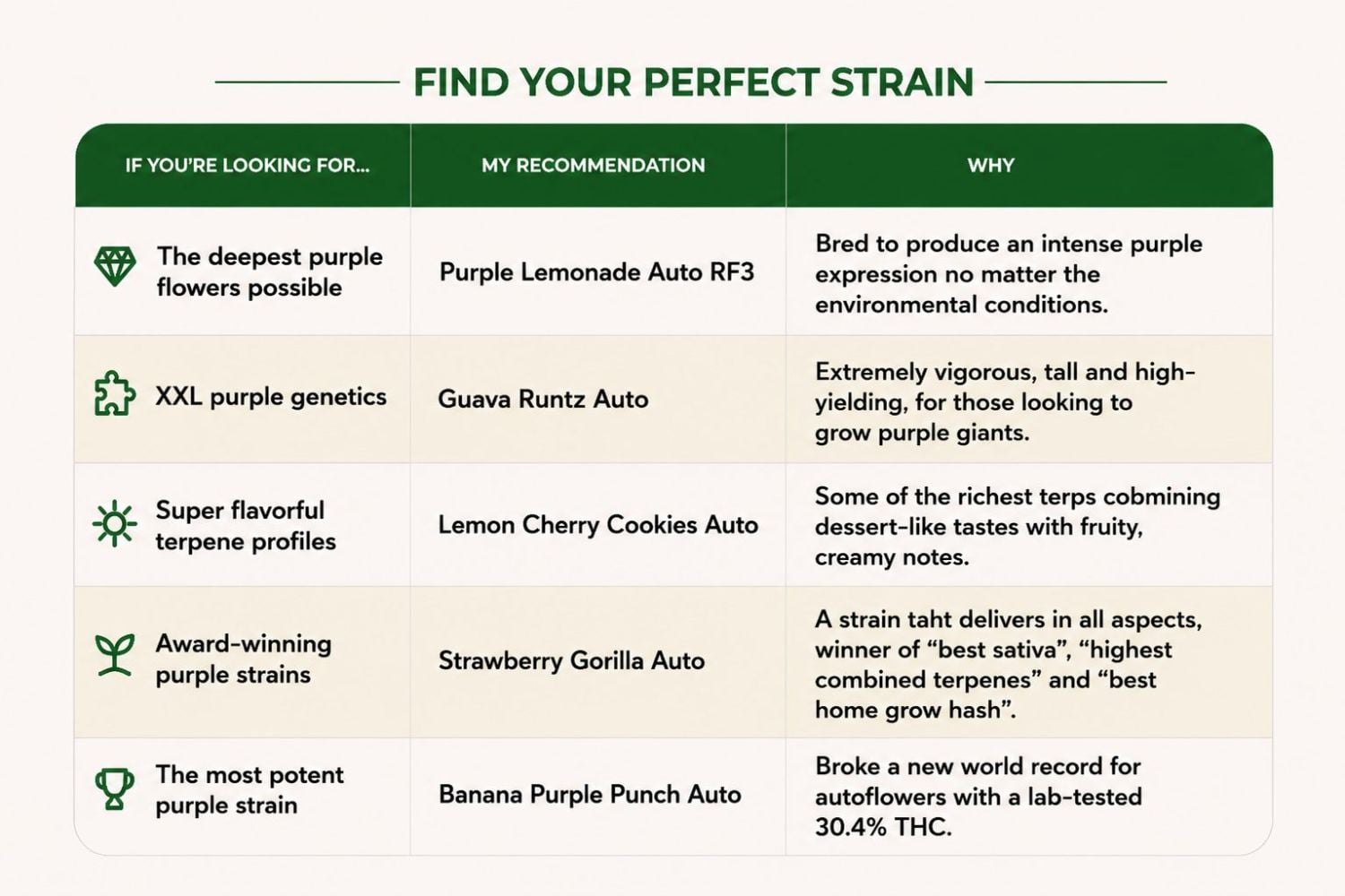 Which Purple Strain Is Right For You?