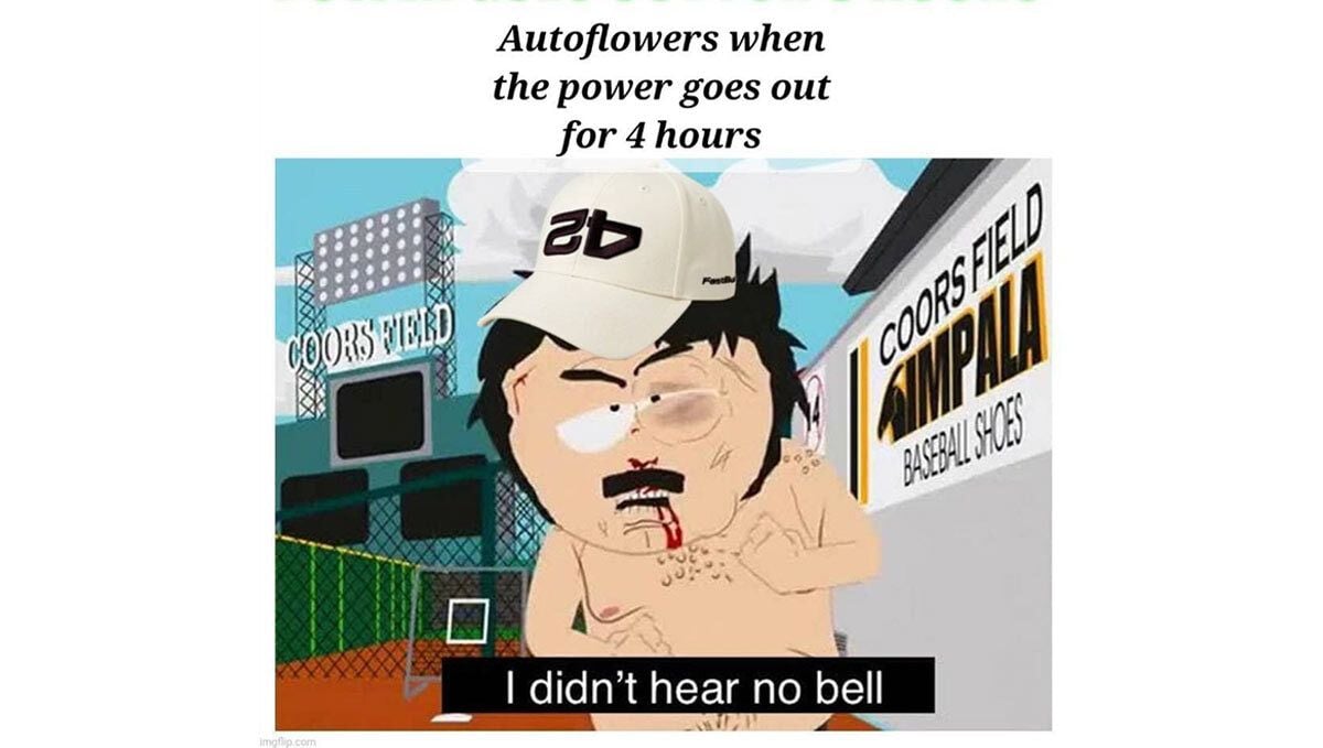 meme