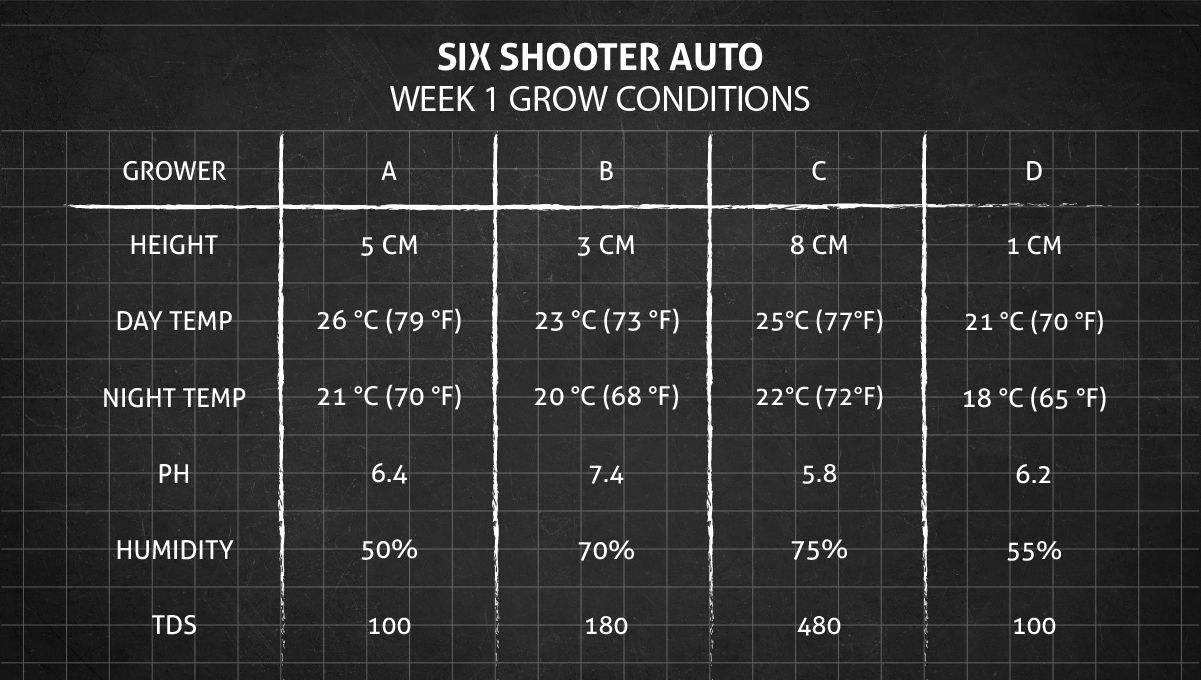Six Shooter Auto cannabis strain: week 1 grow conditions