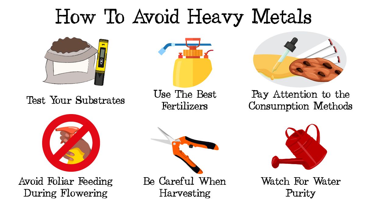 Heavy metals in cannabis: top tips to avoid heavy metals