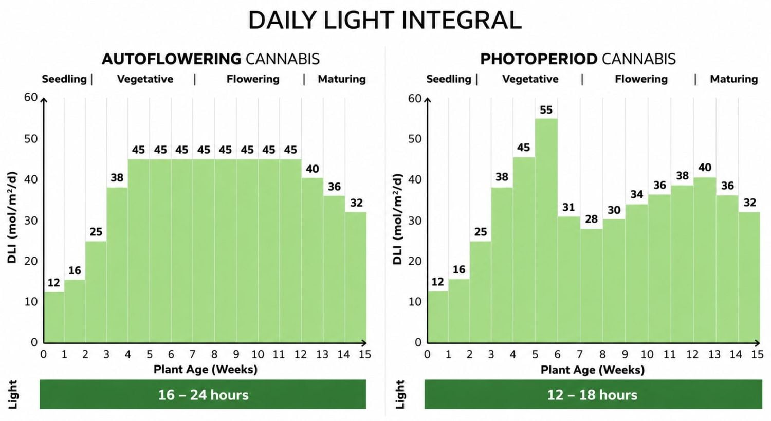 DLI (daily light integral)