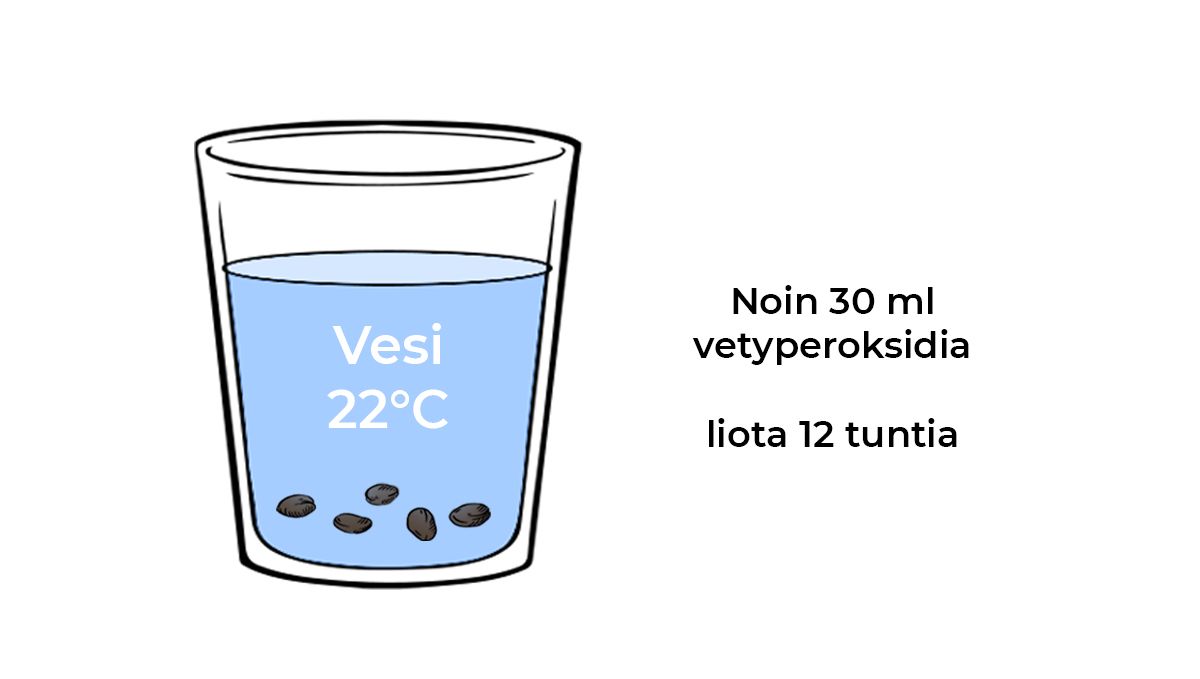 Idätysopas: ravinnerikastettu vesi