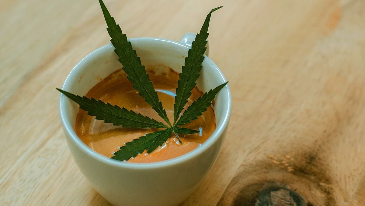 Cannabis and coffee: how to make weed coffee