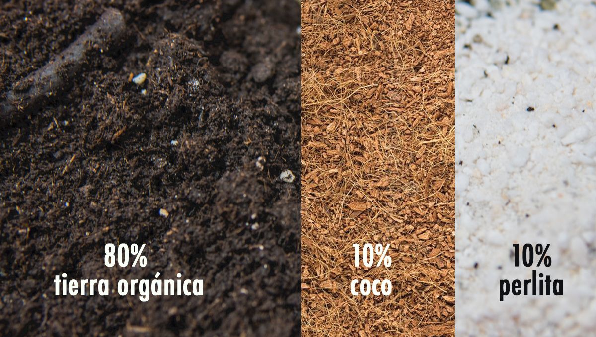 La mejor mezcla de tierra para cultivadores principiantes