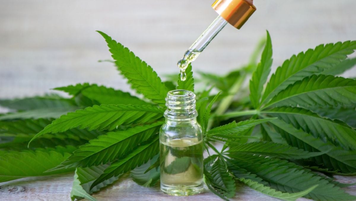 Weed brownie recipe & effect: tinctures