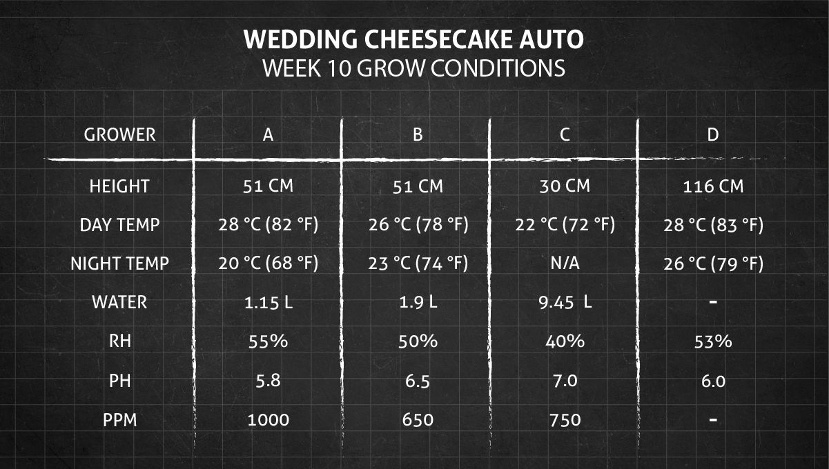 Grow Conditions Week 10+