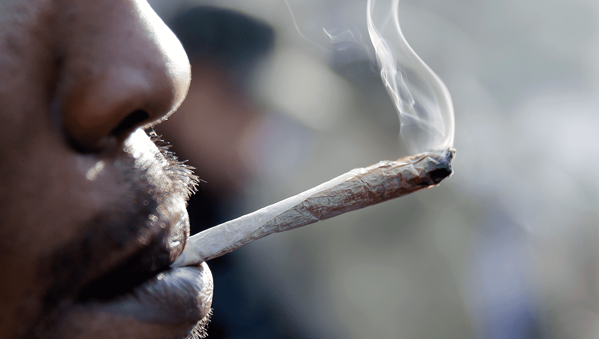 Weed in lebanon: history and politics