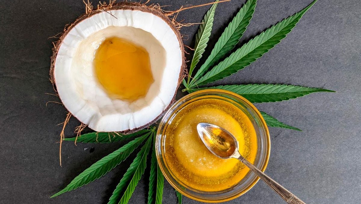 The three easiest edibles without using an oven: cannabis-infused coconut oil