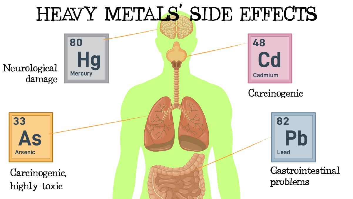 Heavy metals in cannabis: risks of consuming heavy metals