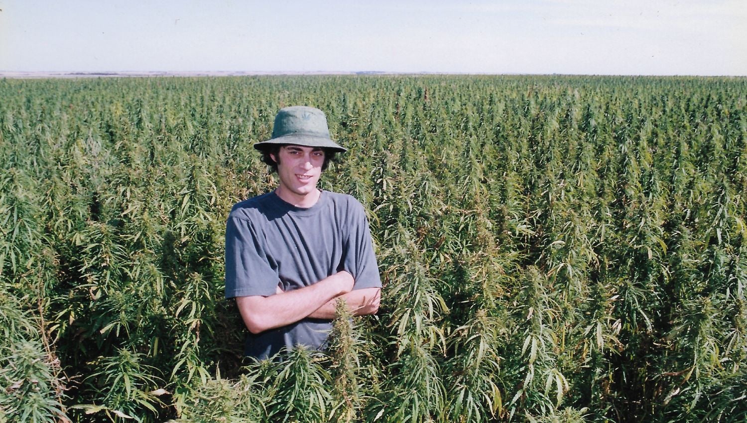 In a recor-breaking seed hemp plantation, Saskatchewan circa 2000. In a recor-breaking seed hemp plantation, Saskatchewan circa 2000.