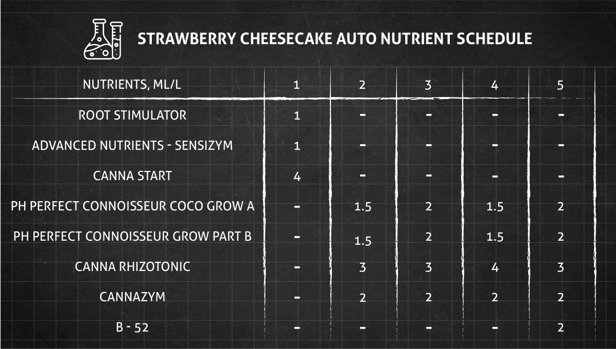 Strawberry Cheesecake Auto cannabis strain: feeding chart for the vegetative stage