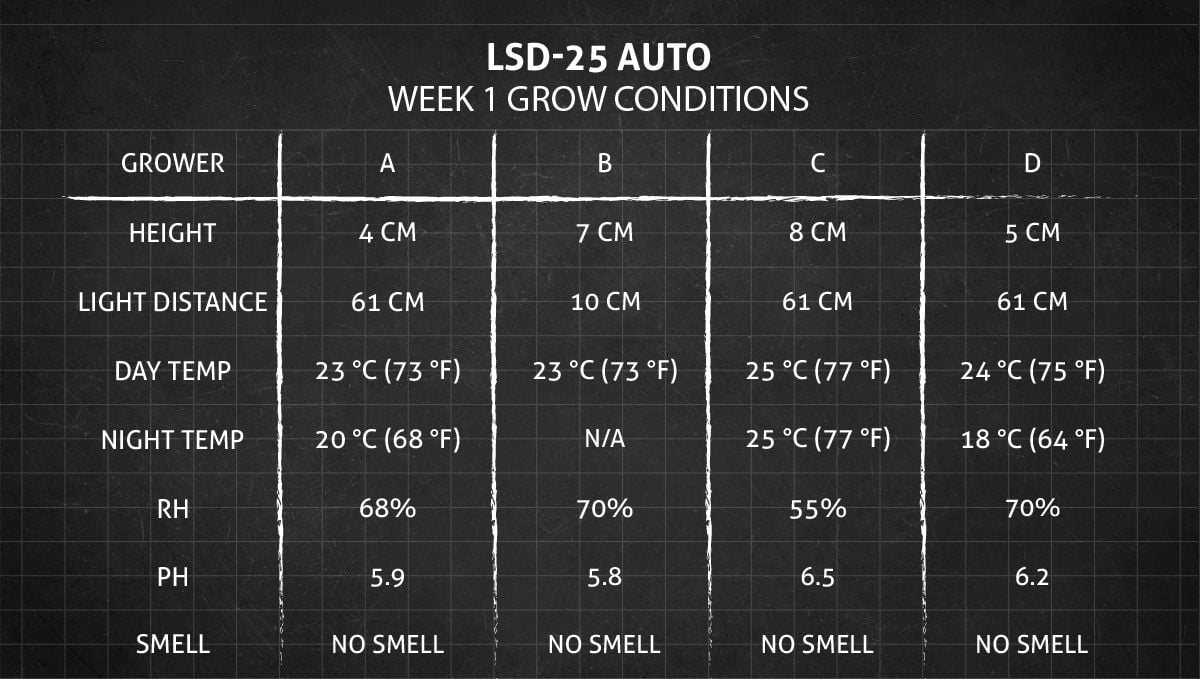 LSD-25 Auto cannabis strain: week 1 grow conditions