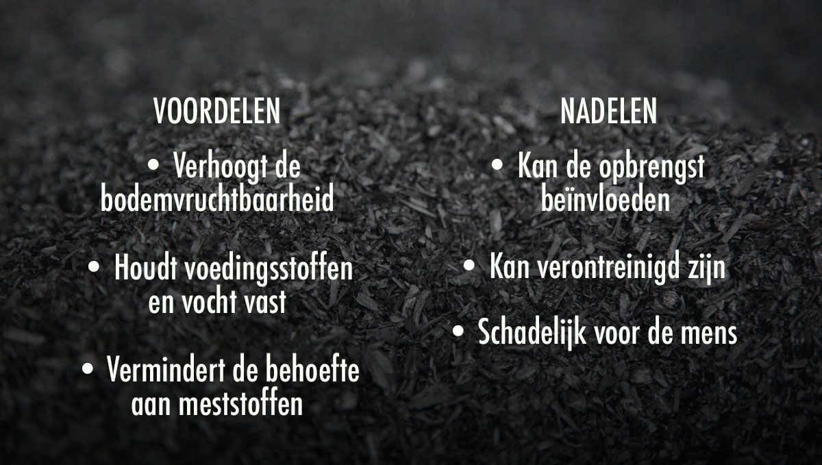 Welke grond is het beste voor zelfbloeiende cannabis?: Voor- en nadelen van het gebruik van Biochar in je grond Welke grond is het beste voor zelfbloeiende cannabis?: Voor- en nadelen van het gebruik van Biochar in je grond