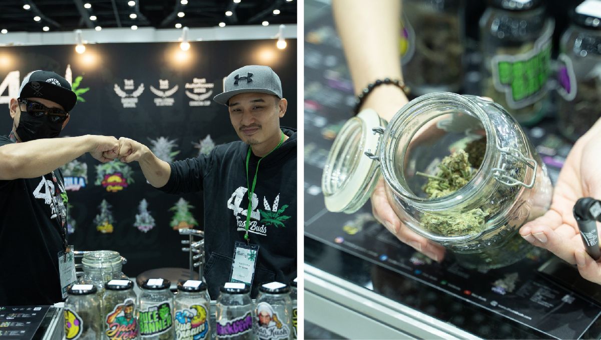 See you next year! A l'année prochaine !