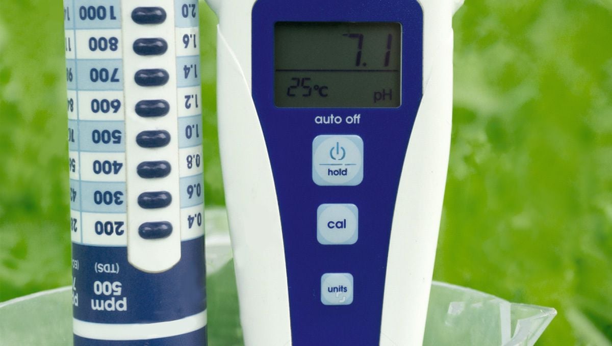 How to grow autoflowering cannabis plants in hydroponics: Monitoring and adjusting ph levels How to grow autoflowering cannabis plants in hydroponics: Monitoring and adjusting ph levels