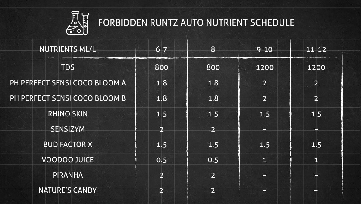Forbidden Runtz Auto Cannabis Strain Week-by-Week Guide: A very simple GHE feeding schedule for cannabis flowering stages - Part 1