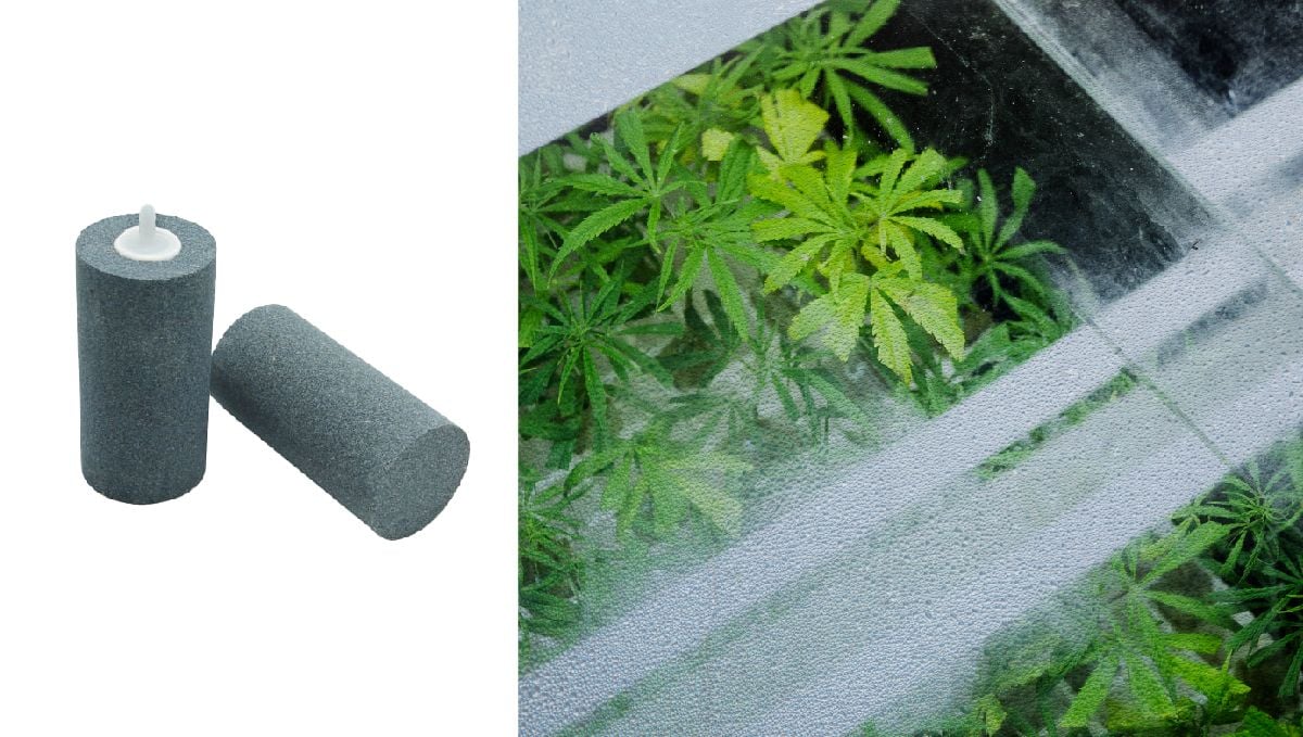 Top 8 Growing Gadgets That Will Help Improve Your Cannabis Garden