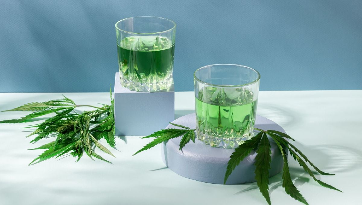 What to do with cannabis trimmings: cannabis juice What to do with cannabis trimmings: cannabis juice