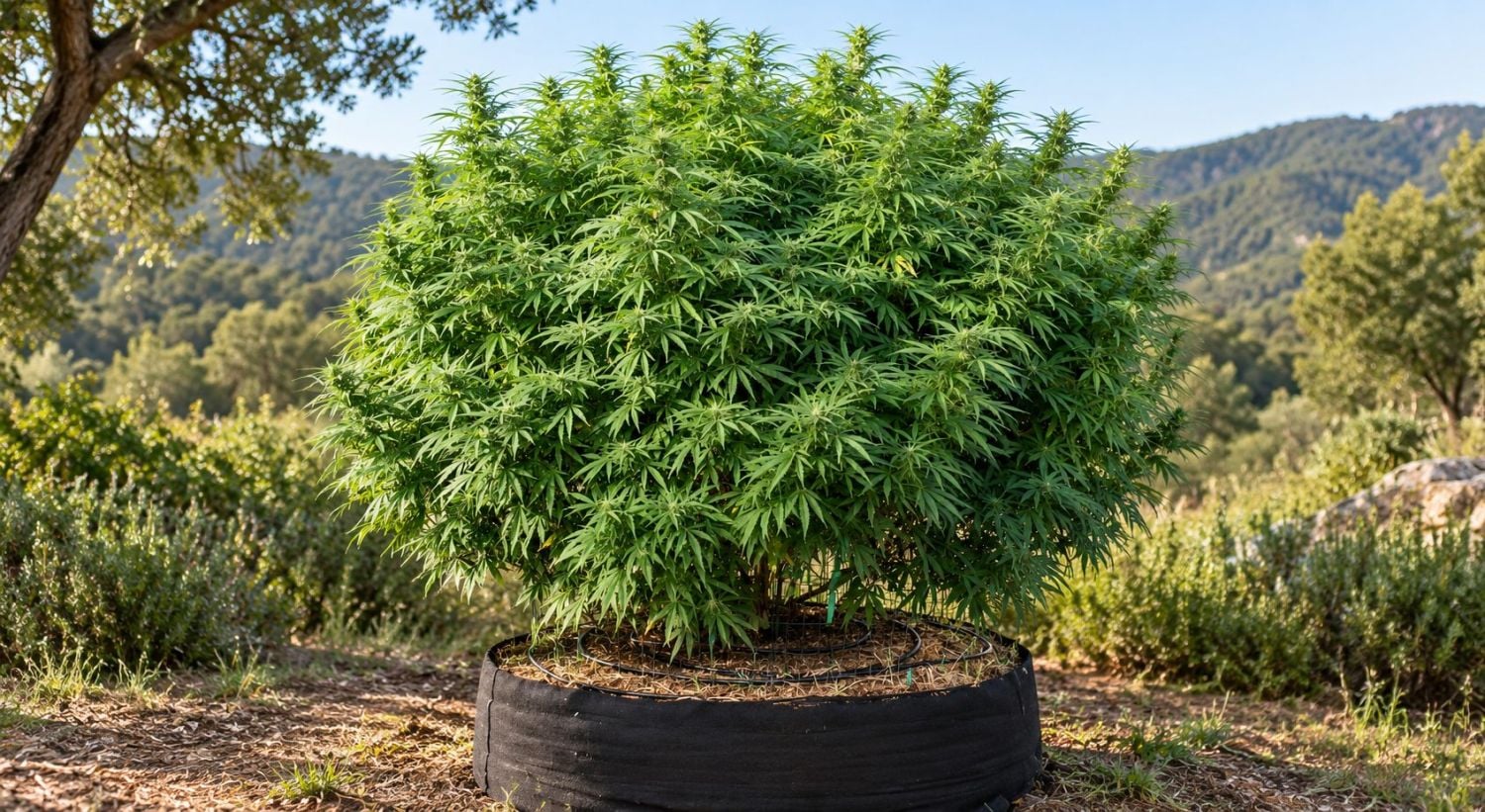 9 time-saving tips: bigger containers