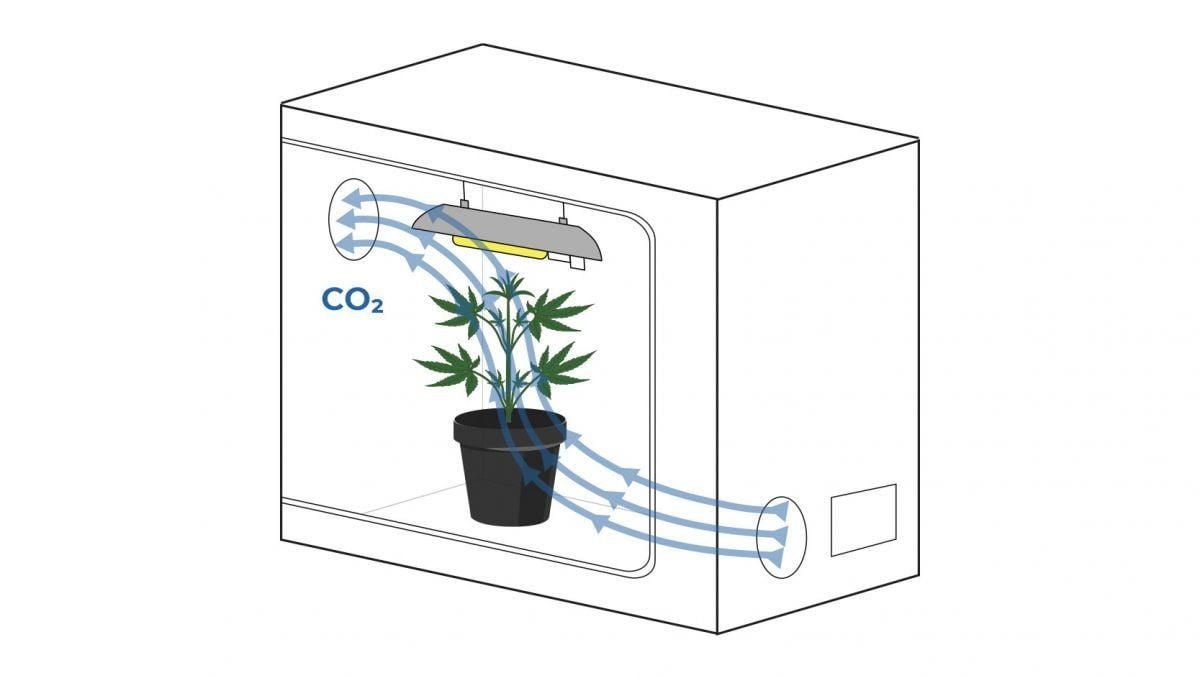 Aislante térmico indoor 1,2m /m - , tu cultivo a un click