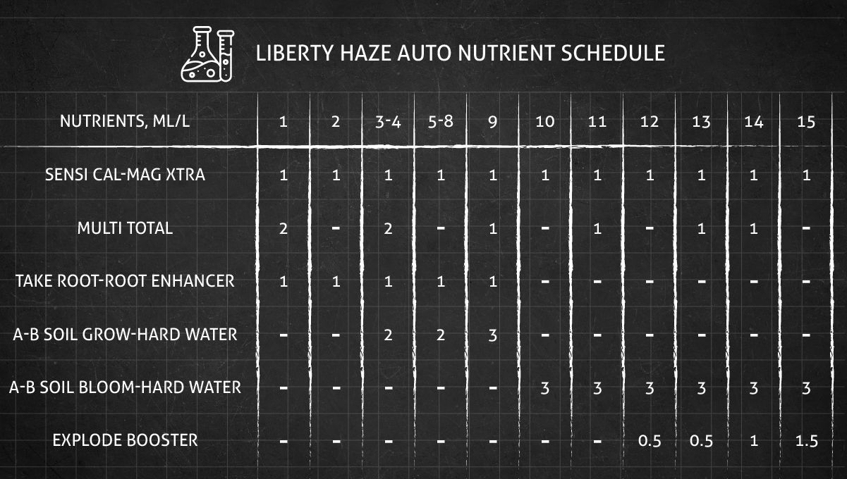 Liberty Haze cannabis strain: feeding chart for the vegetative and flowering stages Liberty Haze cannabis strain: feeding chart for the vegetative and flowering stages