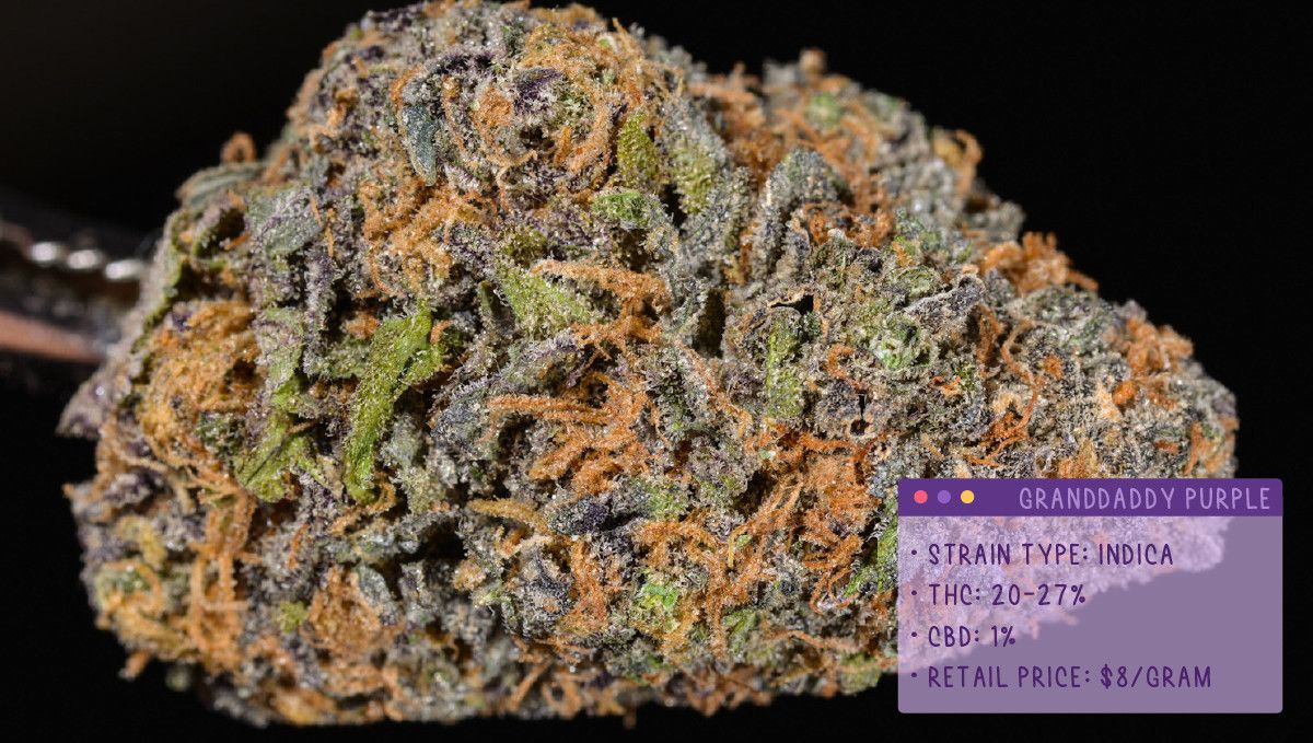 Best Weed Strains For Anxiety | Fast Buds